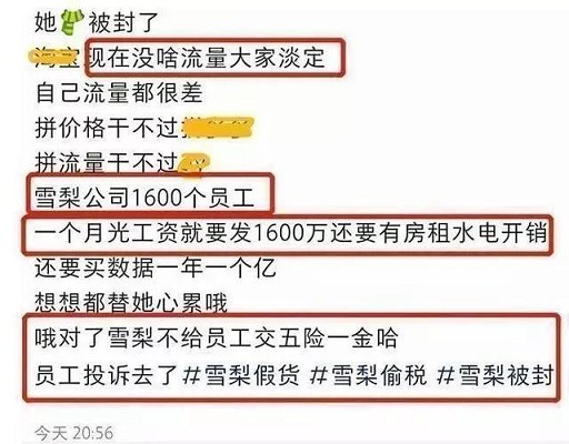 年入8000万逃税！王思聪前女友全网封杀