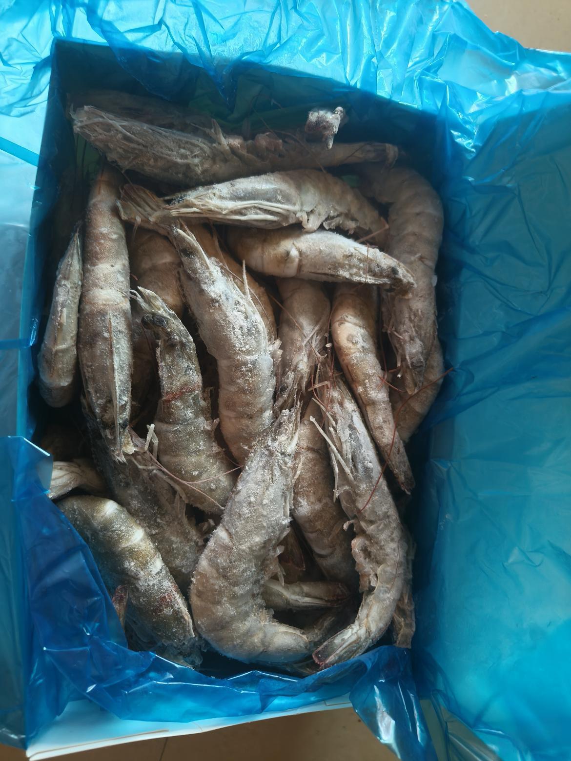 京东生鲜盲盒开箱：冷冻大虾分量足，值不值？