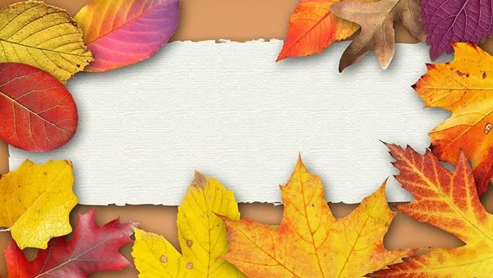 海报幻灯图片区-忆思阁博客-专注精品资源分享