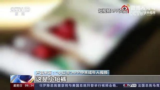 小红书被曝含“未成年人性暗示”内容